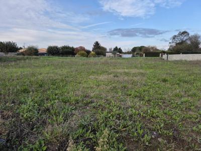 For sale Land SAINT-LAURENT-DE-LA-PREE  17