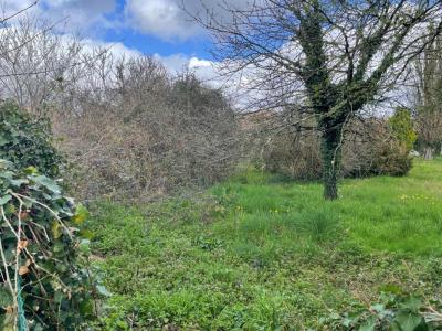 Vente Terrain TAILLAN-MEDOC 33320