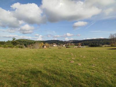 Vente Terrain SAINT-GERMAIN-L'HERM  63