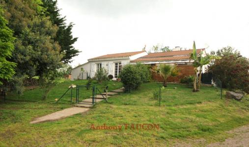 Vente Maison CHAILLE-SOUS-LES-ORMEAUX RIVES-DE-L-YON 85