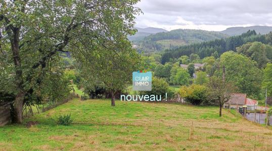 Vente Terrain SAINT-REMY-SUR-DUROLLE  63