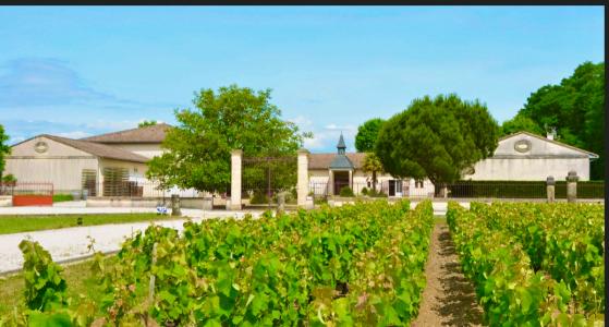 Vente Domaine agricole SAINT-SAUVEUR  33