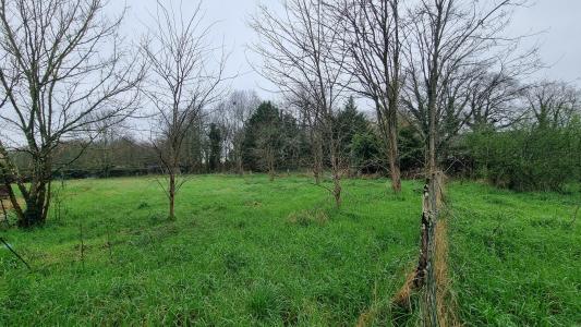 For sale Land TOULENNE  33