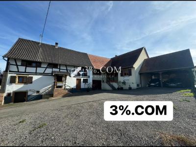 photo For sale House LUPSTEIN 67