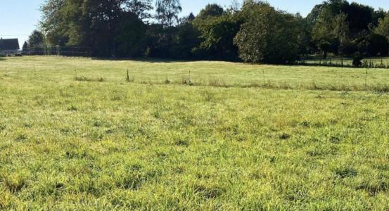 For sale Land COUZEIX  87