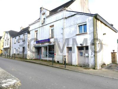 Vente Maison 10 pices GUISCRIFF 56560