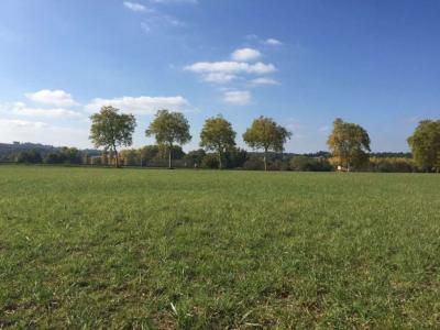 Vente Terrain CAIGNAC VIEILLEVIGNE 31