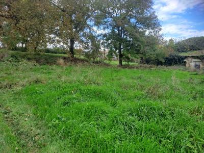 photo For sale Land VERTHEUIL 33