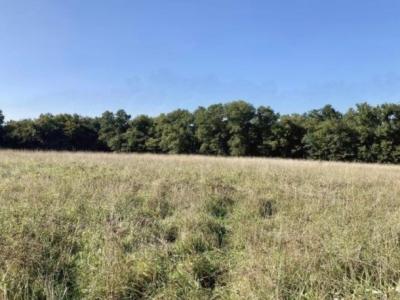 For sale Land BOULIAC  33