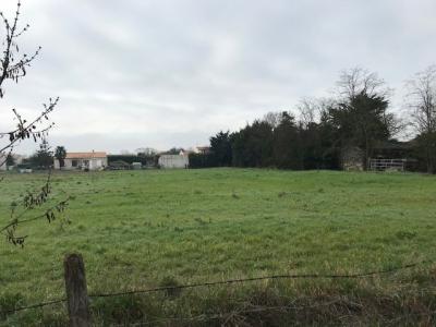 For sale Land SALLES-SUR-MER  17