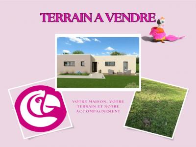 Vente Terrain MONTREVAULT 49110