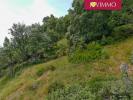 For sale Land Viscos  65120