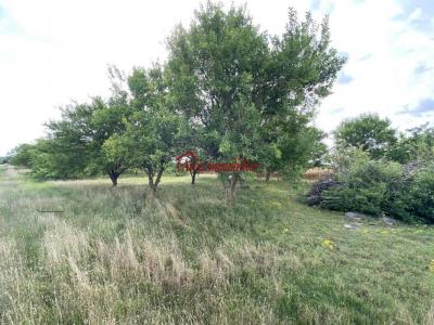 photo For sale Land AUBETERRE 10