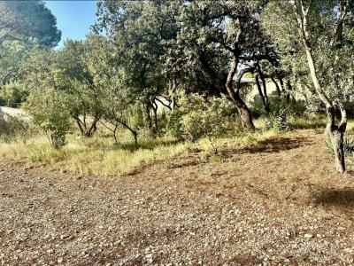 For sale Land VILLENEUVE-LES-AVIGNON  30