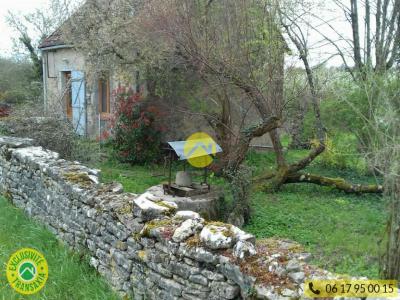 photo For sale House SANCOINS 18