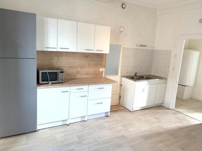 Location Appartement BRIENNON  42