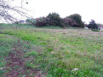 For sale Land MUGRON  40