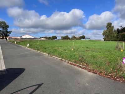 Vente Maison SALLE-ET-CHAPELLE-AUBRY  49