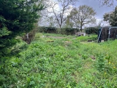 photo For sale Land RIAILLE 44