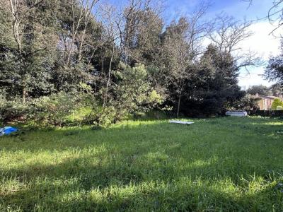 photo For sale Land LONGEVILLE-SUR-MER 85