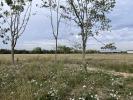 For sale Land Bonnoeuvre VRITZ 44540 650 m2