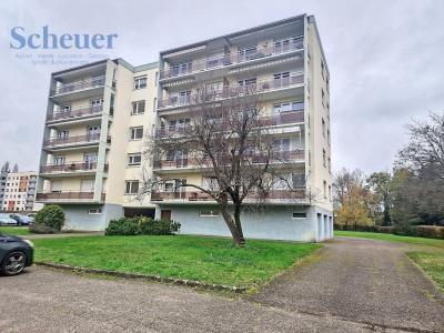 photo For rent Apartment MOLSHEIM 67