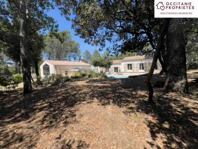 photo For sale Prestigious house MALVES-EN-MINERVOIS 11