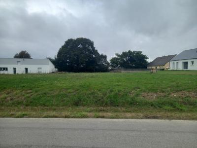 photo For sale Land CONQUEREUIL 44