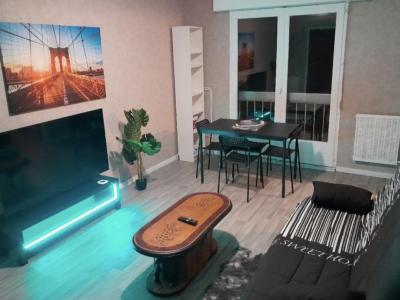 Vente Appartement 2 pices VILLEURBANNE 69100