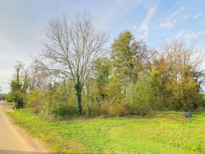 photo For sale Land FONTAINE-FRANCAISE 21