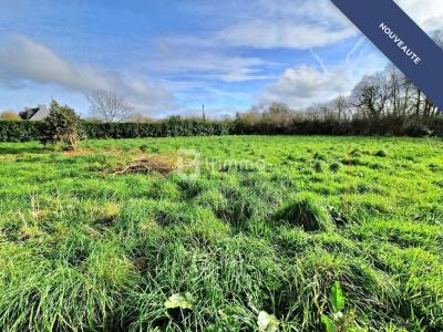 photo For sale Land CAST 29