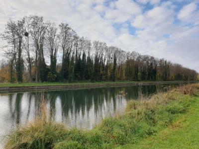 photo For sale Land BRIENON-SUR-ARMANCON 89