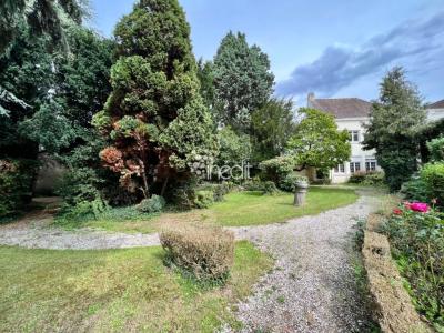 Vente Maison SAINT-OMER  62