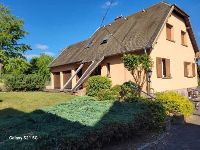 Vente Maison ECKARTSWILLER  67