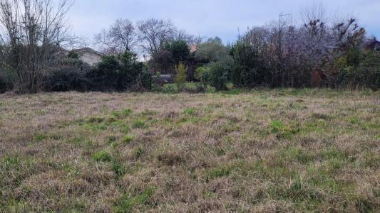 For sale Land PAREMPUYRE  33