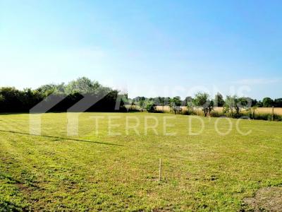 Vente Terrain REVEL 31250