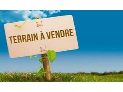 Vente Terrain SAINT-JEAN-DE-BOISEAU  44