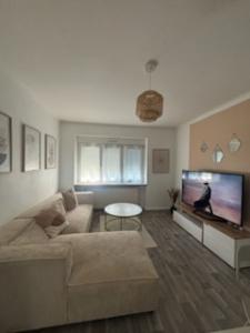 Location Appartement SAINT-AVOLD  57