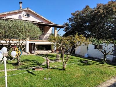 For sale House SAIX  81