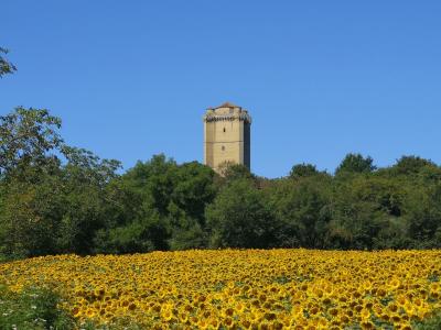 photo For sale House BASSOUES 32