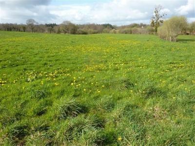 For sale House MAYENNE EXTERIEUR