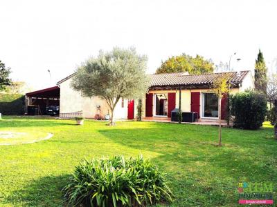 Vente Maison GAILLAC  81