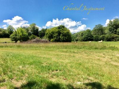 Vente Terrain SAINT-JEAN-DE-COLE  24