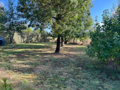 photo For sale Land ANGERS 49