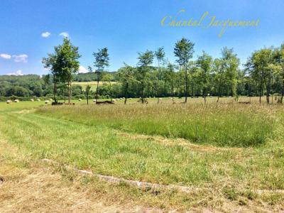 Vente Terrain SAINT-JEAN-DE-COLE  24