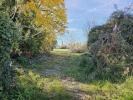 For sale Land Pignans  83790