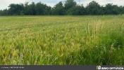 For sale Land Chatuzange-le-goubet PIZANCON 26300