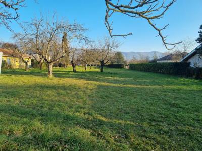 Vente Terrain SAINT-VERAND  38