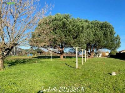 photo For sale Land BERSON 33