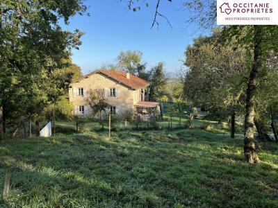 photo For sale Prestigious house LARROQUE-SAINT-SERNIN 32